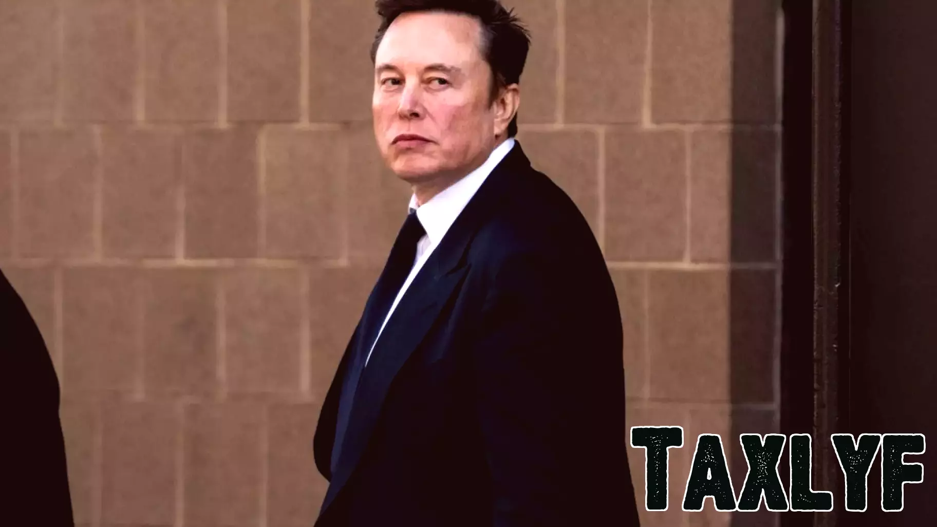 Musk Advocates for the Elimination of Financial Watchdog Agency